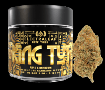 King Tut cannabis buds from BeLeaf dispensary offering a balanced hybrid experience.